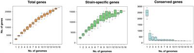 Zetaproteobacteria Pan-Genome Reveals Candidate Gene Cluster for Twisted Stalk Biosynthesis and Export
